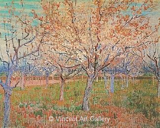 Orchard with Blossoming Apricot Trees by Vincent van Gogh